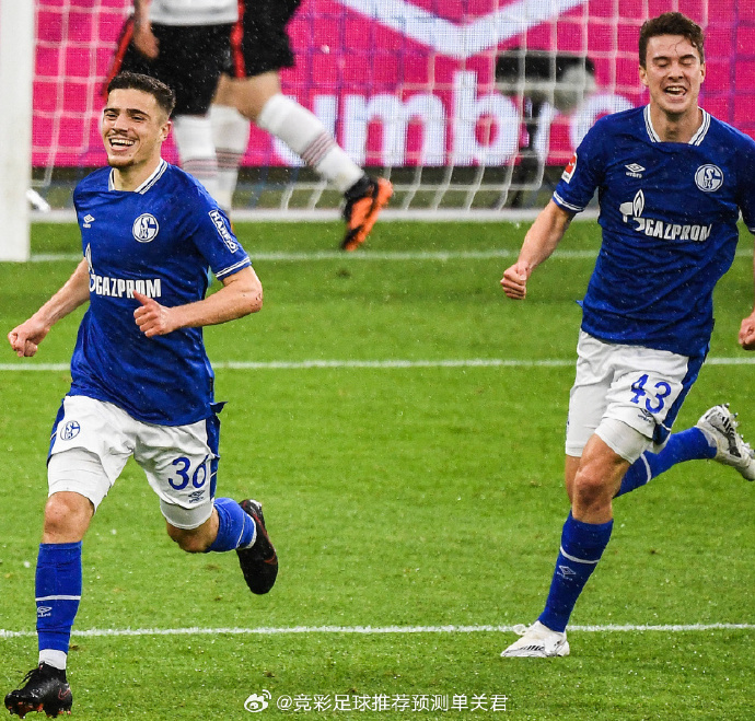 沙尔克在主场比赛中拼搏争取三分